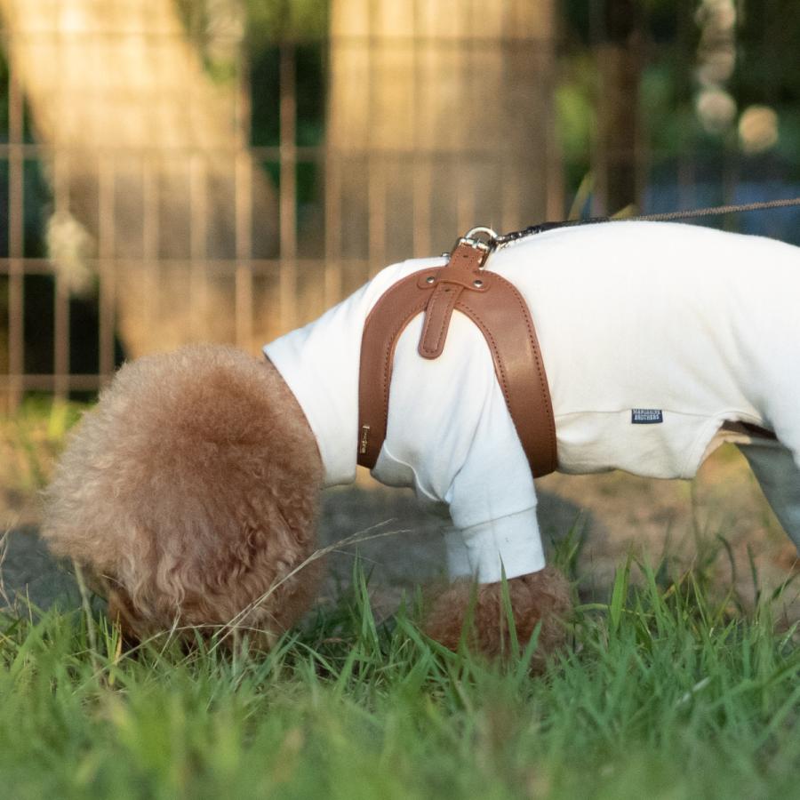 SALE30%OFF HIGH5DOGS（ハイファイブドッグ）メトロポリタン