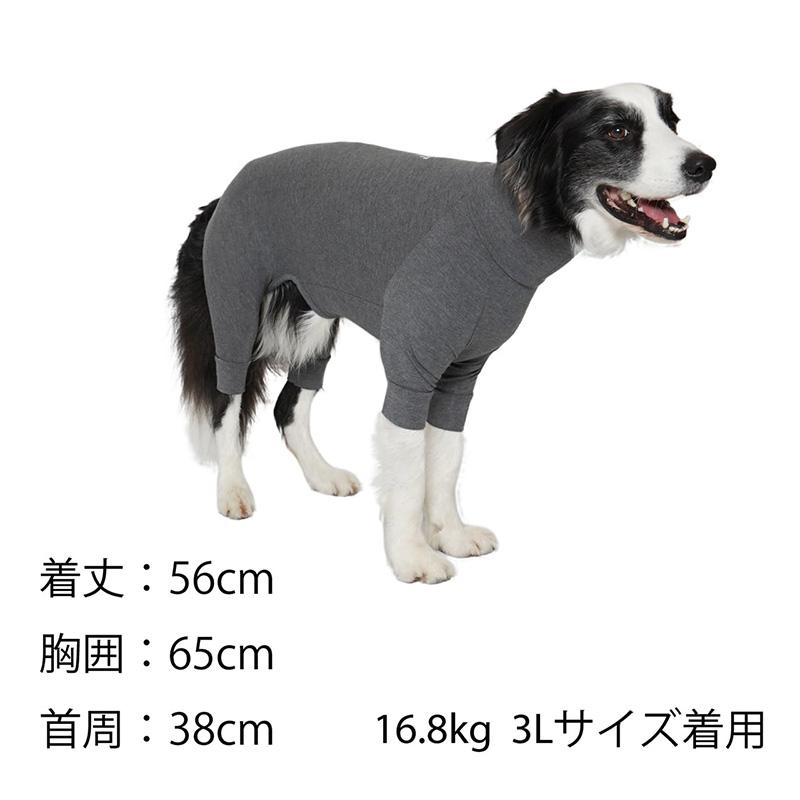 MANDARINE BROTHERS Mandarine brothers（マンダリンブラザーズ