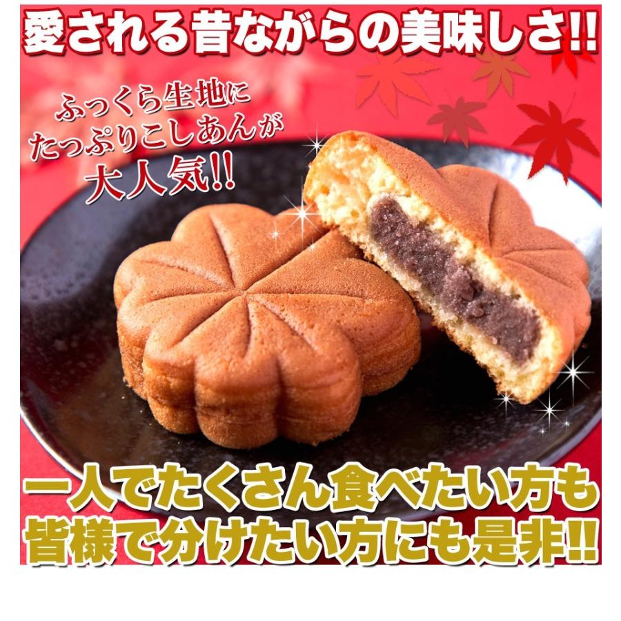 ふんわり もみじ饅頭 10個お試し 紅葉まんじゅう : YK通販 ふんわり もみじ饅頭 10個お試し 紅葉まんじゅう : YK通販