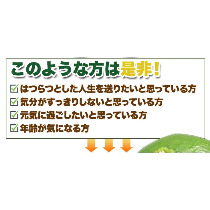 メガ盛り シークヮーサー＆ノビレチン サプリ 約4か月分 120粒 メール便 送料無料｜yktsuhan｜09