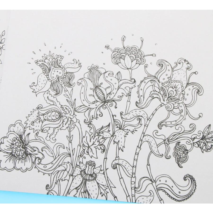 塗り絵 Secret Garden 大人のぬりえ 秘密の花園 定形外郵便 代引不可 送料別商品 Le Ciel 通販 Yahoo ショッピング