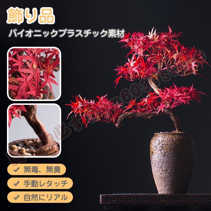 50 Off 人工観葉植物 人工樹木 木製 プラスチック モミジ もみじ 松 人工盆栽 造花 フェイクグリーン セラミック花瓶 玉石 2色選択可能 豪華 Nicmosul Org
