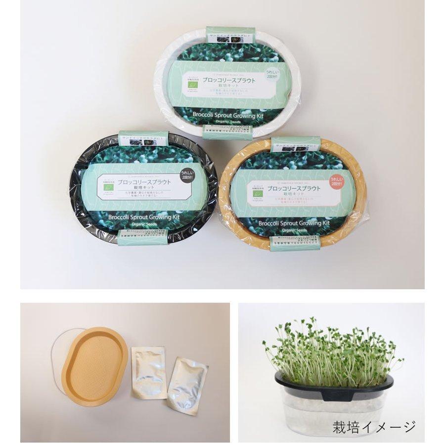 ホワイト 3個セット おうちでベジ グリーンフィールドプロジェクト スプラウト栽培容器 激安通販販売