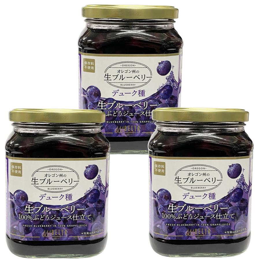 生ブルーベリー100 ぶどうジュース漬け 680g 固形量340g 3個セット デューク種 送料無料 3 マグーズショップ 通販 Yahoo ショッピング
