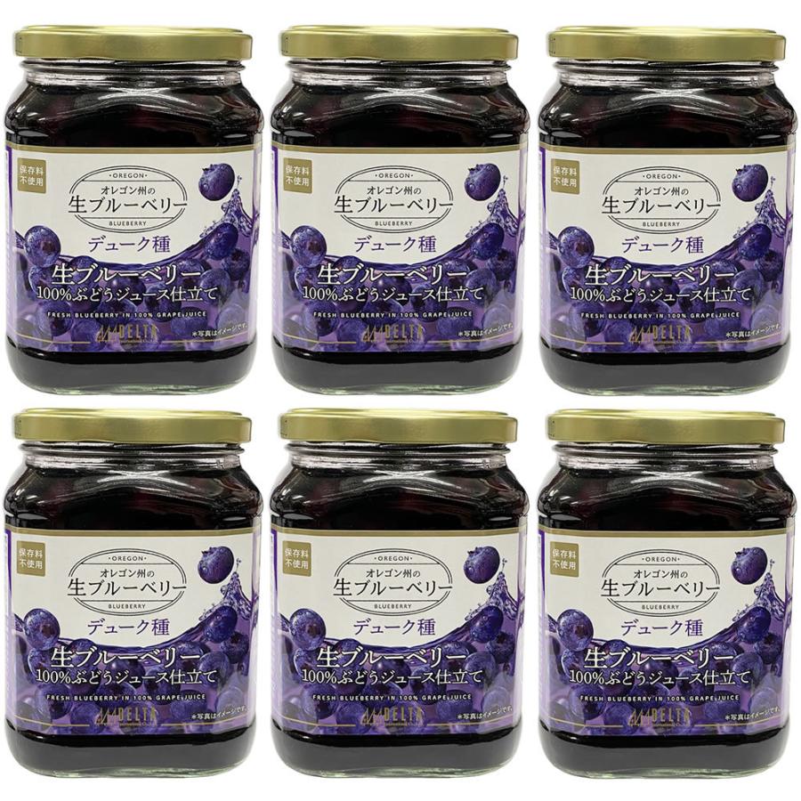 予約販売 9月末頃出荷予定 新物 生ブルーベリー100 ぶどうジュース漬け 680g 固形量340g 6個セット デューク種 送料無料