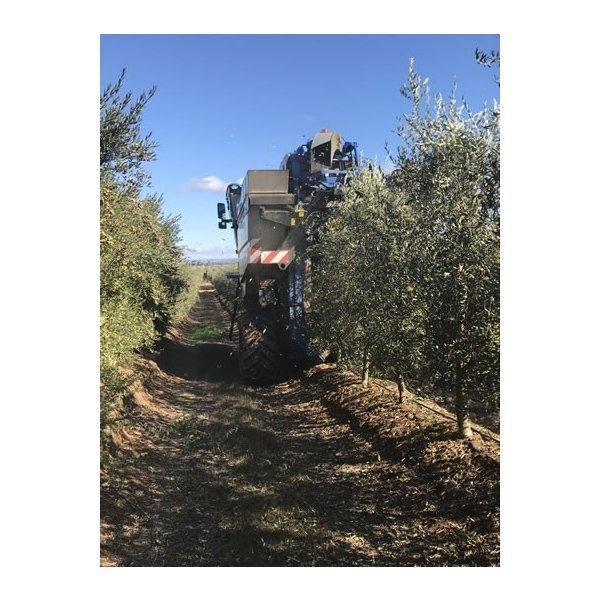 チリ産 アロンソ エキストラバージンオリーブオイル 250ml 2本セット ギフト 酸度0 2 以下 Alonso Set マグーズショップ 通販 Yahoo ショッピング