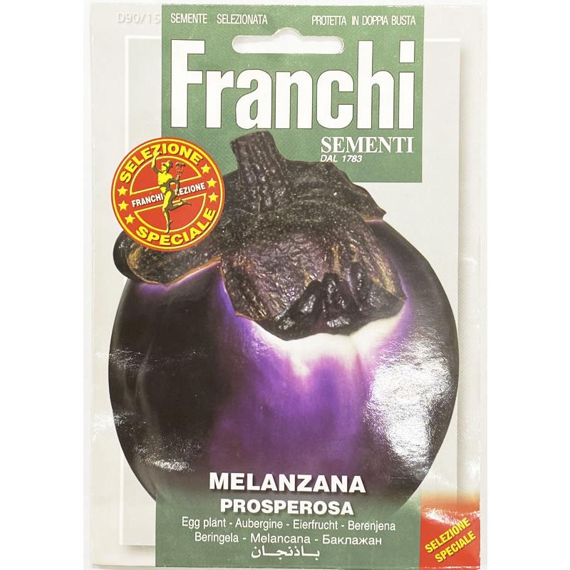 種まき 2月中旬 3月中旬 イタリアンナスの種 Melanzana Prosperosa 90 15 Franchi社 野菜 なす 種 たね ポスト投函便 Franchi90 15 マグーズショップ 通販 Yahoo ショッピング