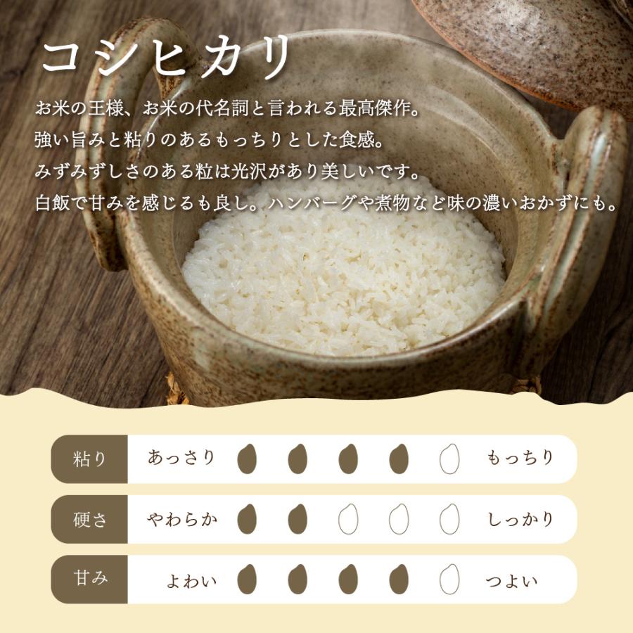 コシヒカリ 【精米】三重県伊賀産コシヒカリ 5kg : ヤマイチSHOP