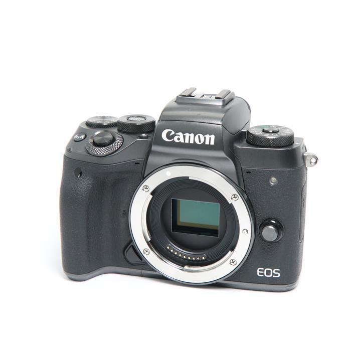 上質で快適 並品 Canon Eos M5 ボディ 楽天市場 Orientalweavers Com
