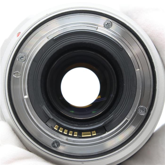 《良品》Canon EF70-300mm F4-5.6L IS USM｜ymapcamera｜06