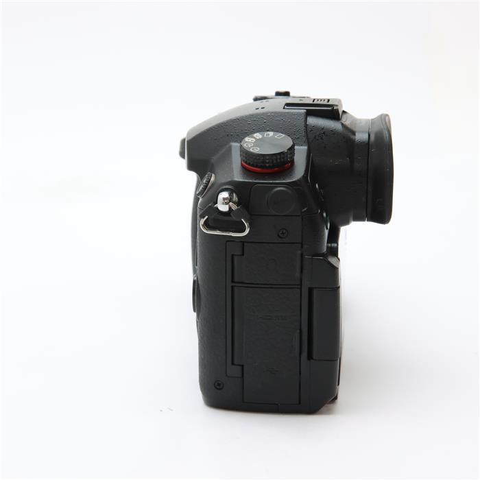 lumix GH5s カメラボディ 615vJxeikyS._UF1000,1000_QL80_.jpg