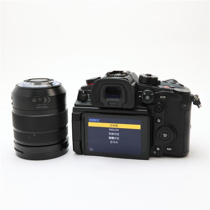 パナソニック　LUMIX DC-GH6L 標準ズームレンズキット LUMIX DC-GH6L パナソニック GH6 ミラーレス一眼カメラ 標準