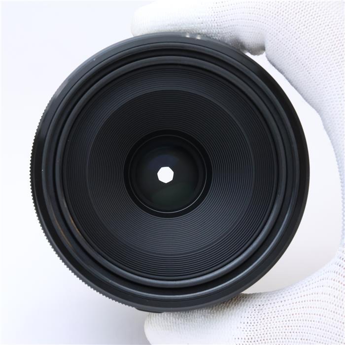 やわらかな日常を残す50mmマクロ SONY SEL50M28 832 やわらかな日常を残す50mmマクロ SONY SEL50M28 832 Amazon.co.jp