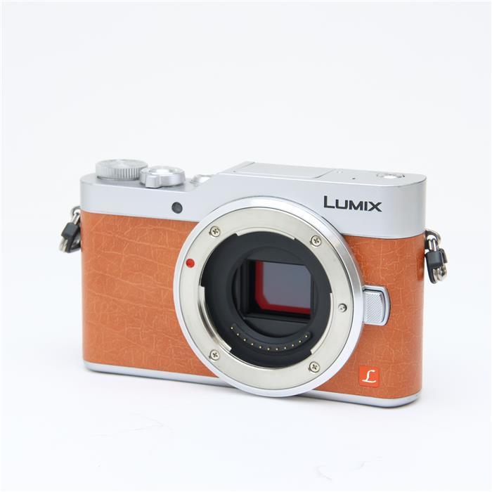 パナソニック LUMIX DC-GF9 W ダブルレンズ キット 概要 デジタル一眼カメラ/ダブルレンズキット DC-GF9W | LUMIX
