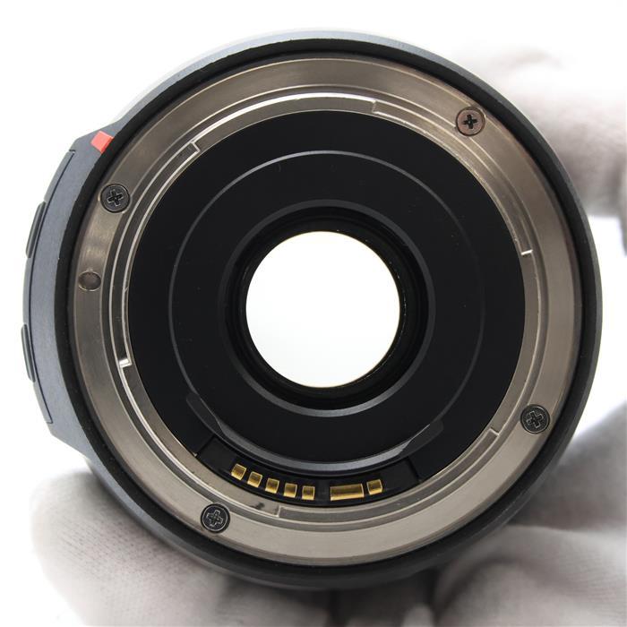 TAMRON 《並品》TAMRON 16-300mm F3.5-6.3 DiII VC PZD MACRO