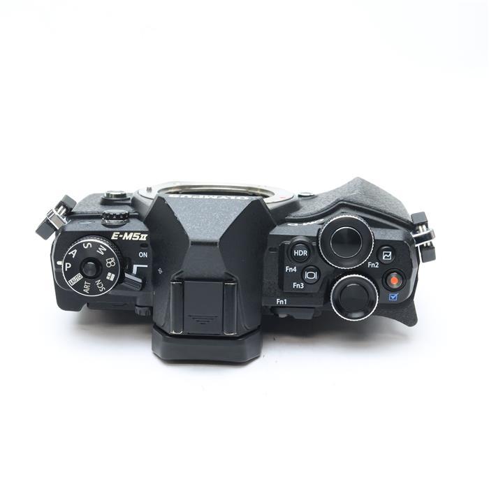 オリンパス 《並品》OLYMPUS OM-D E-M5 Mark II ボディ : カメラ