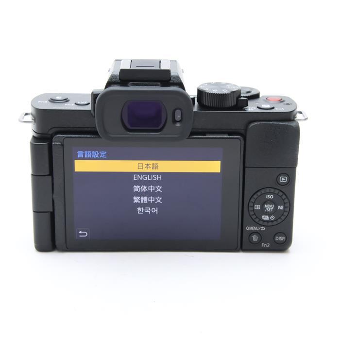 LUMIX G100D ミラーレス一眼 ダブルズームレンズキット 公式通販 DC 