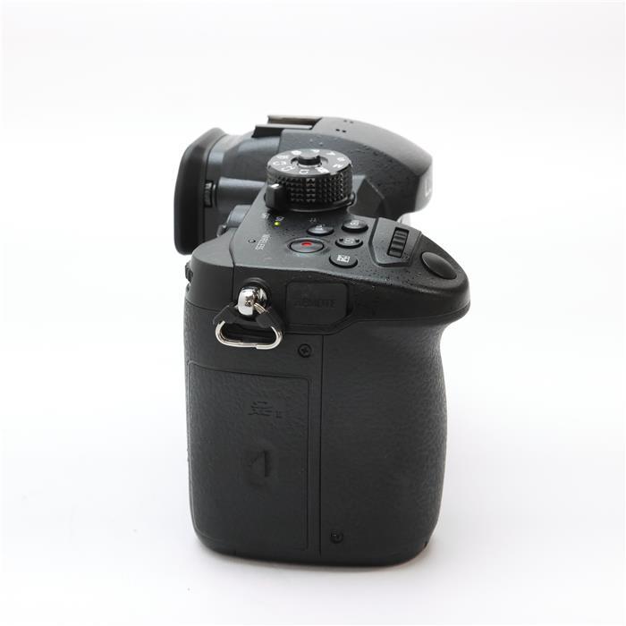 Panasonic 《並品》Panasonic LUMIX DC-GH5 ボディ : カメラ専門
