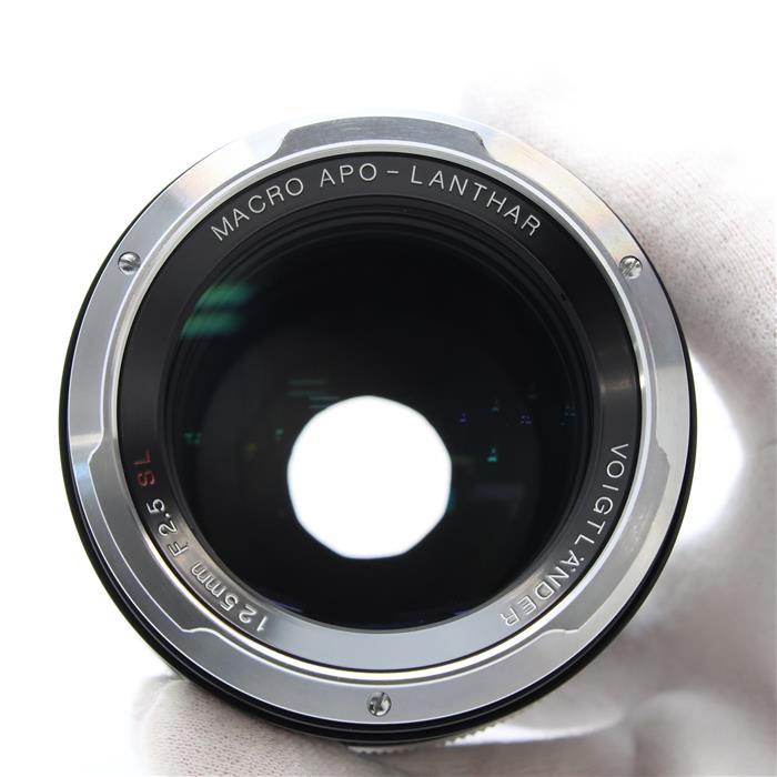 ■美品■ Voigtlander マクロアポランター 125 F2.5 SL Voigtlander SL 125mm f/2.5 Macro APO Lanthar Lens Test