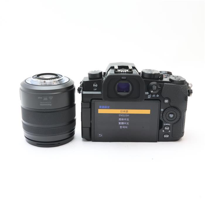【美中古】LUMIX DC-G99DH 高倍率ズームレンズキット　本体と付属品 Panasonic（パナソニック） 《美品》Panasonic LUMIX DC-G99DH 高倍率