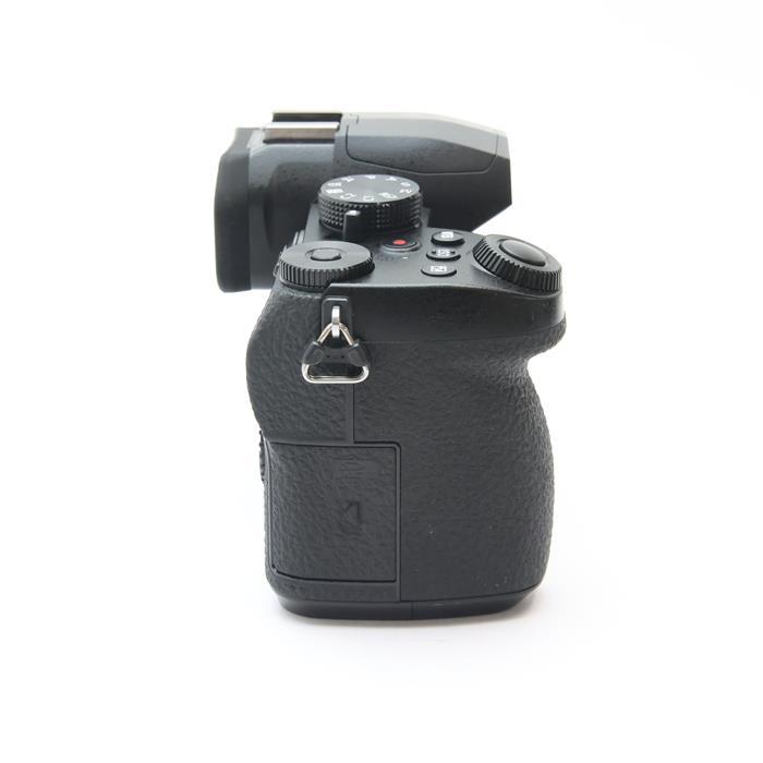 Panasonic 《美品》Panasonic LUMIX DC-G99 ボディ : カメラ専門店
