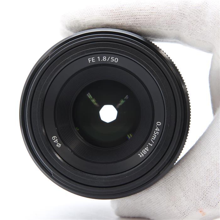 SONY FE 50mm F1.8 SEL50F18F フルサイズ用レンズ