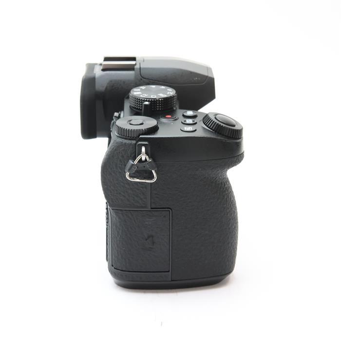 Panasonic 《美品》Panasonic LUMIX DC-G99 ボディ : カメラ専門