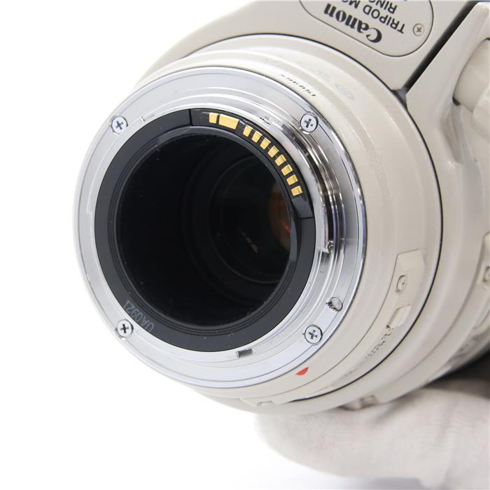 キヤノン 《並品》Canon EF100-400mm F4.5-5.6L IS USM : カメラ
