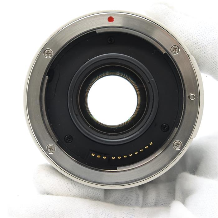 キヤノン（Canon） 《良品》Canon エクステンダー EF 2X : カメラ専門