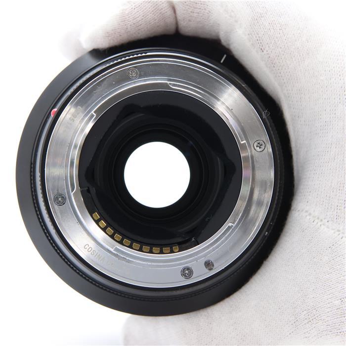 美品》Voigtlander MACRO APO-LANTHAR 110mm F2.5 E-mount(ソニーE用