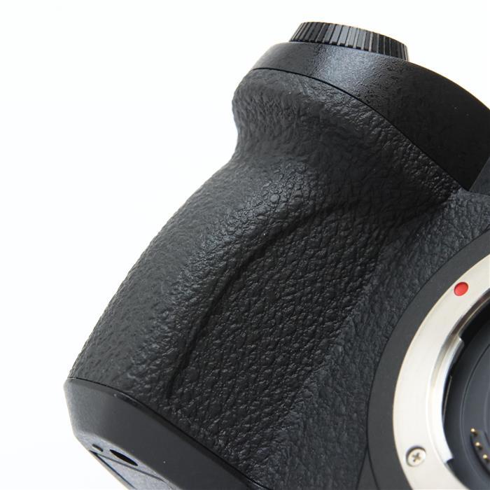 Panasonic 《美品》Panasonic LUMIX DC-G99 ボディ : カメラ専門