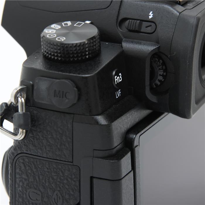 Panasonic 《美品》Panasonic LUMIX DC-G99 ボディ : カメラ専門