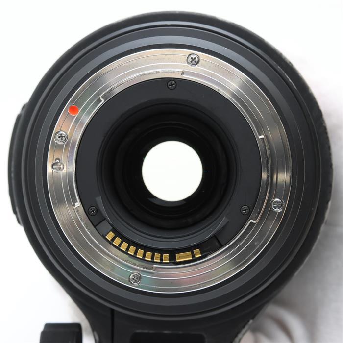 シグマ（SIGMA） 《並品》SIGMA APO 50-500mm F4.5-6.3 DG OS HSM