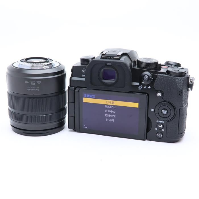 Panasonic（パナソニック） 《良品》Panasonic LUMIX DC-G99M2H 高倍率