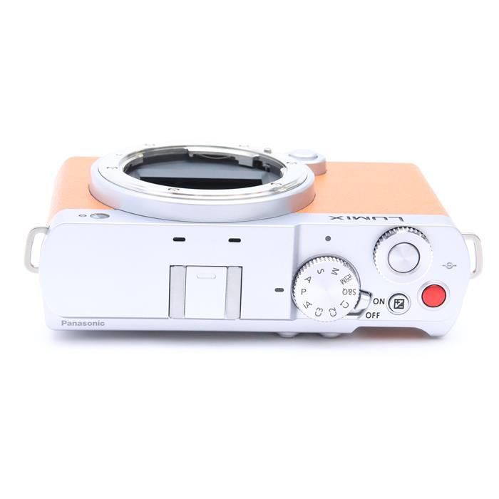 Panasonic（パナソニック） 《美品》Panasonic LUMIX S9 ボディ DC-S9