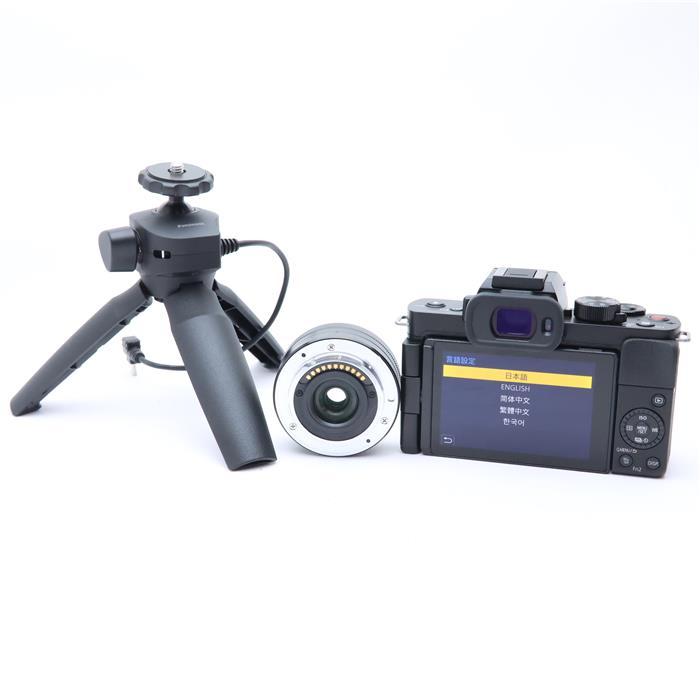 Panasonic（パナソニック） 《美品》Panasonic LUMIX DC-G100DV 標準