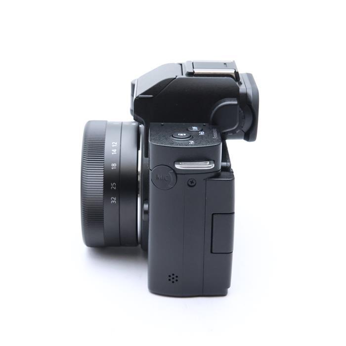 Panasonic（パナソニック） 《美品》Panasonic LUMIX DC-G100DV 標準