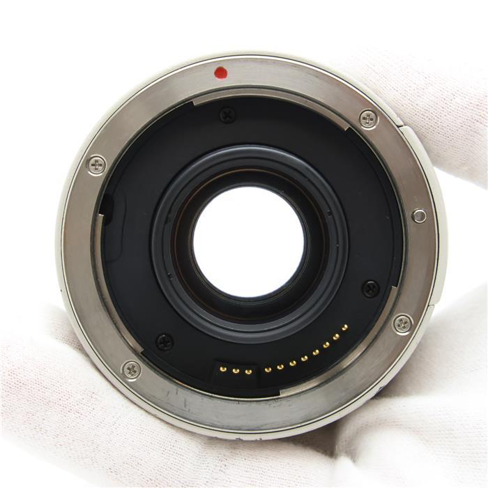 キヤノン（Canon） 《並品》Canon エクステンダー EF 2X : カメラ専門