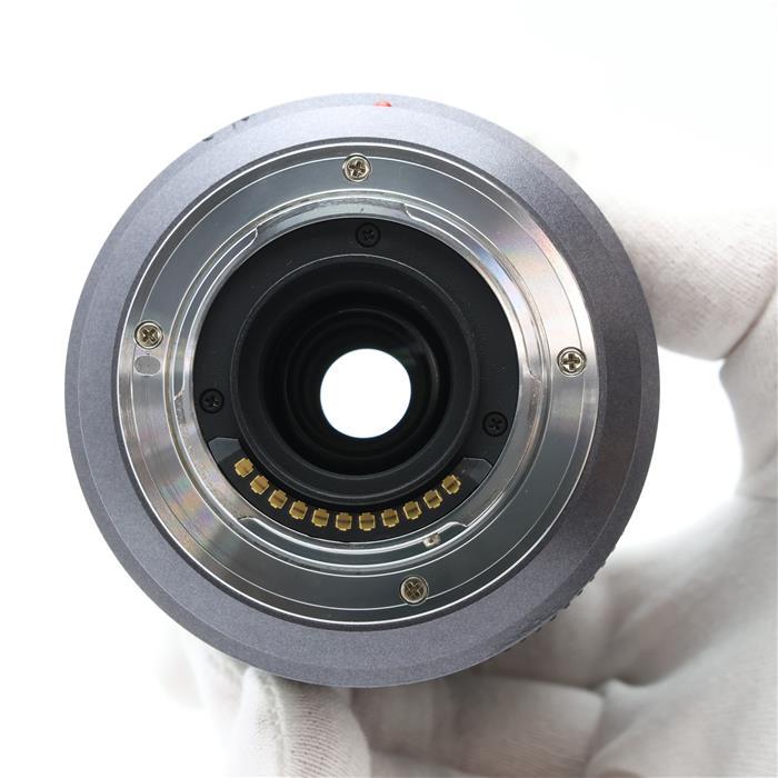 並品》Panasonic G 45-200mm F4.0-F5.6 MEGA O.I.S. H-FS045200