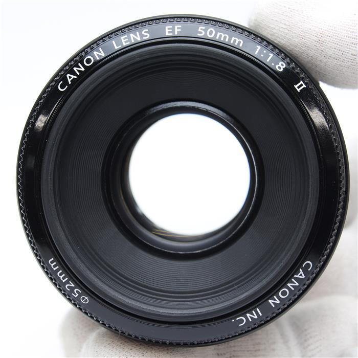 整備済み！Canon EF50mm F1.8 II Amazon.co.jp: Canon 単焦点レンズ EF50mm F1.8 II フルサイズ対応