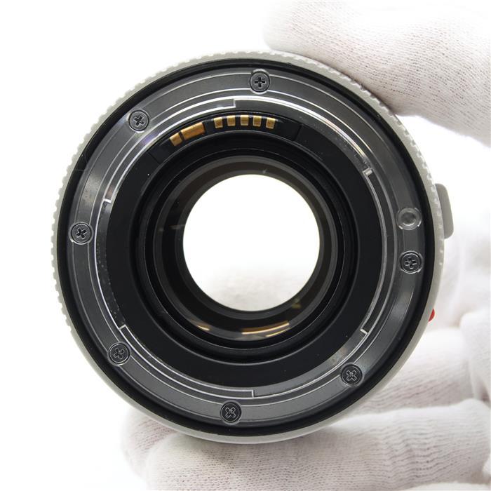 キヤノン（Canon） 《良品》Canon エクステンダー EF1.4X III : カメラ