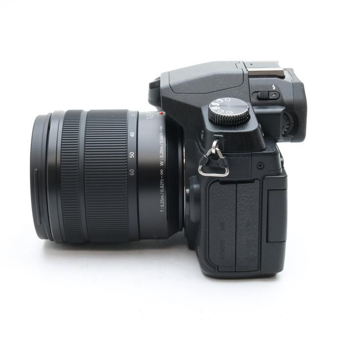 Panasonic（パナソニック） 《美品》Panasonic LUMIX DMC-G8M 標準