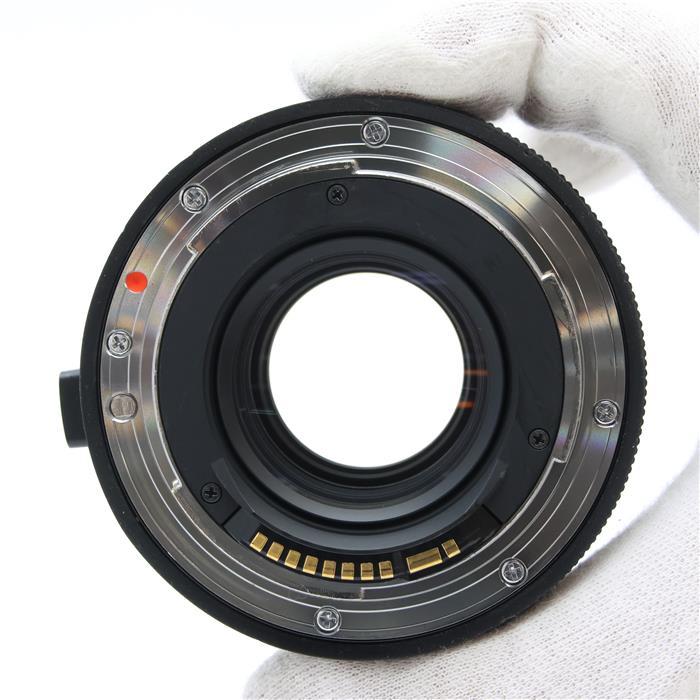 シグマ（SIGMA） 《並品》SIGMA テレコンバーターTC-1401 (キヤノンEF