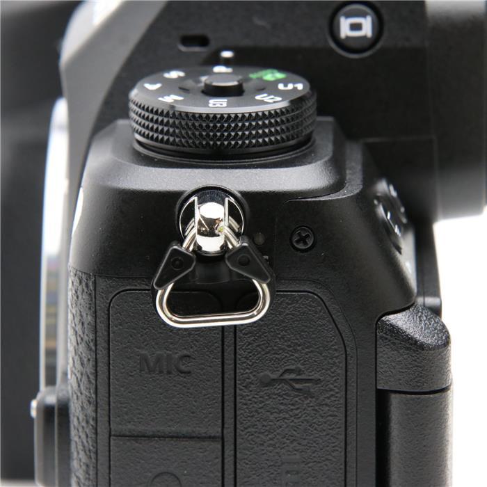 ニコン（Nikon） 《新同品》Nikon Z6III ボディ : カメラ専門店マップ