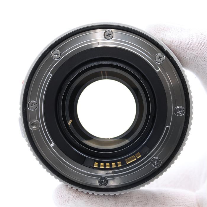 キヤノン（Canon） 《良品》Canon エクステンダー EF1.4X III : カメラ