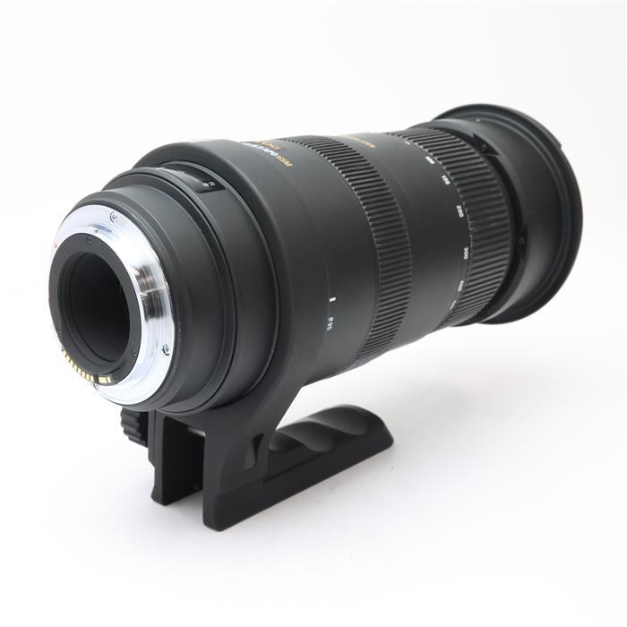 シグマ（SIGMA） 《並品》SIGMA APO 50-500mm F4.5-6.3 DG OS HSM