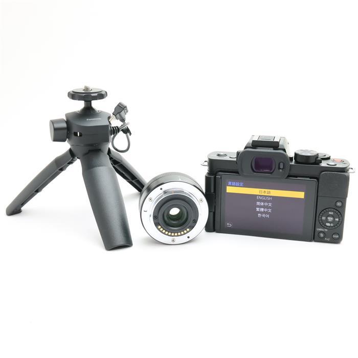 Panasonic（パナソニック） 《美品》Panasonic LUMIX DC-G100DV 標準