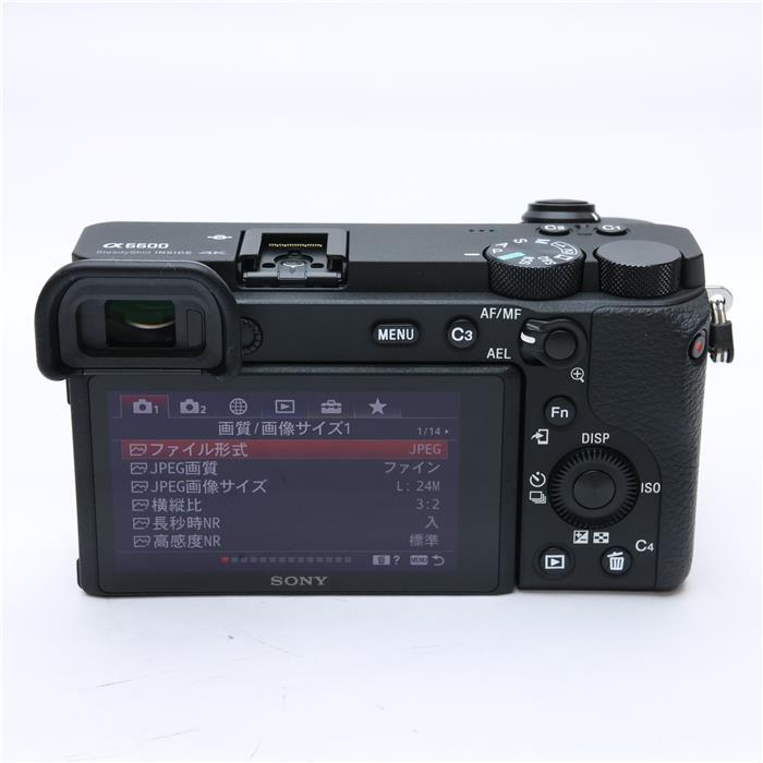 SONY α6600 ボディ 本体（購入時付属品＋おまけ付き） SONY α6600 ボディ 本体（購入時付属品＋おまけ付き） SONY α6600
