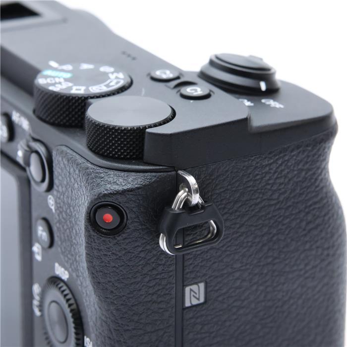 SONY（ソニー） 《良品》SONY α6600 ボディ ILCE-6600 : カメラ専門店