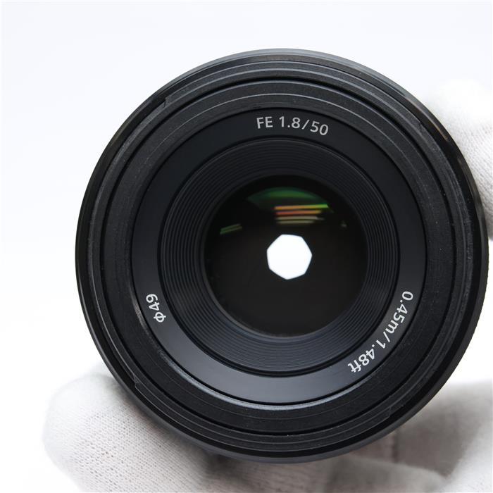 SONY（ソニー） 《並品》SONY FE 50mm F1.8 SEL50F18F : カメラ専門店